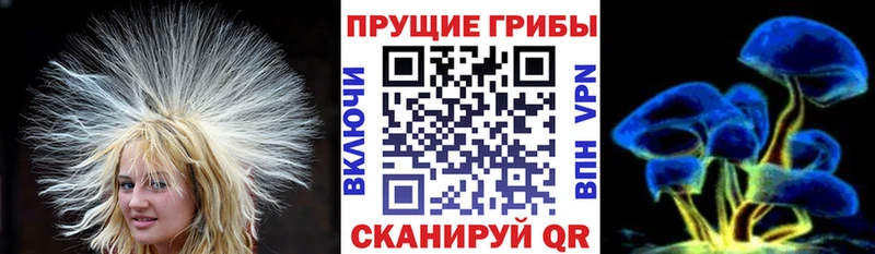 Псилоцибиновые грибы GOLDEN TEACHER  Купить  Абакан 